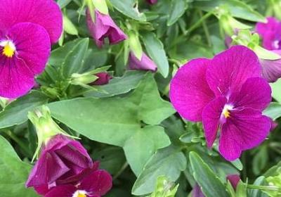 水的名言警句(实用70句)