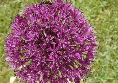 泰戈尔的名言警句(共80句)