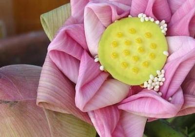 雨有关的词语(合集50句) 雨有关的词语(合集50句)