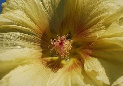 柏拉图 名言(优选40句)