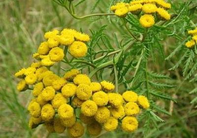 正确认识自己的名言(优选80句) 正确认识自己的名言(优选80句)