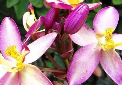 温暖的名人名言(热门20句)