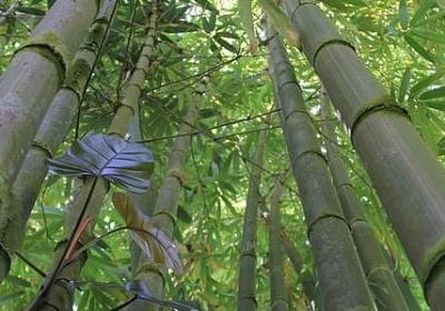 法制名言警句大全(优选100句)