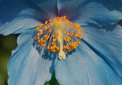 独立的名言警句(推荐120句) 独立的名言警句(推荐120句)