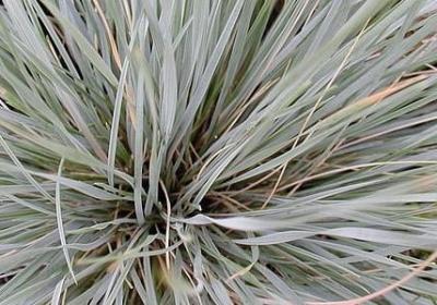 爱岗敬业的名言(60句)