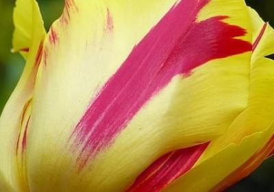 知识的名言警句(汇总60句)