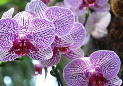 环境的名言警句(推荐20句)