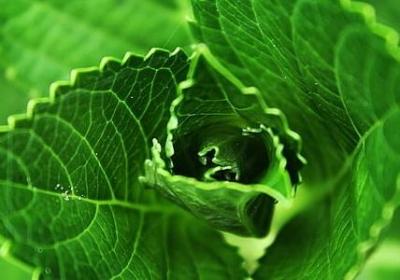 珍惜时光的名言(50句)