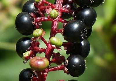 梅西励志名言(推荐20句)