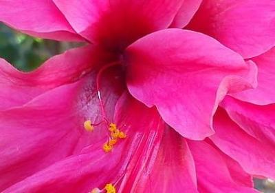 树立志向的名言(必备50句)