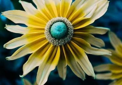 母亲的名言警句(必备80句)