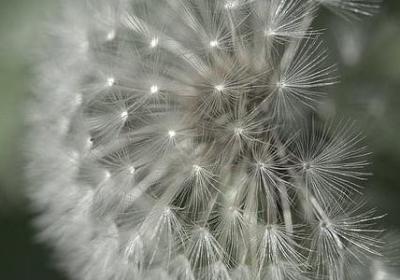 珍惜水的名言(61句)