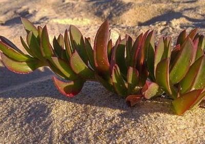 爱情名言短句(精选80句)