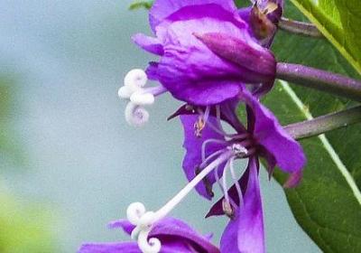 爱老敬老的名言(共40句)