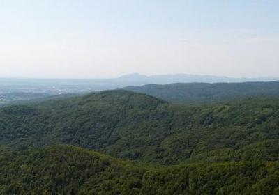 旗袍优雅词语(热门6句)