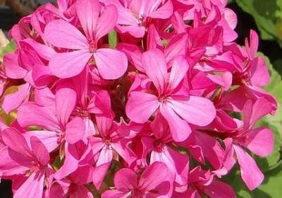 描写雪山的词语(60句) 描写雪山的词语(60句)