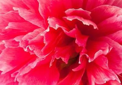 描写秋天美景的词语(热门50句) 描写秋天美景的词语(热门50句)