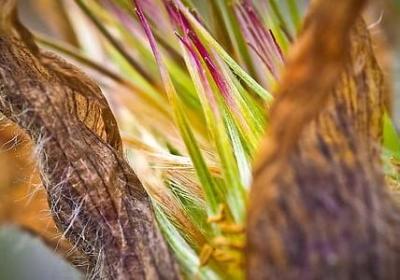 最霸气的词语(必备40句)