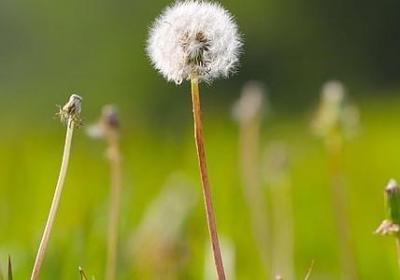 有内涵的二字词语(40句)