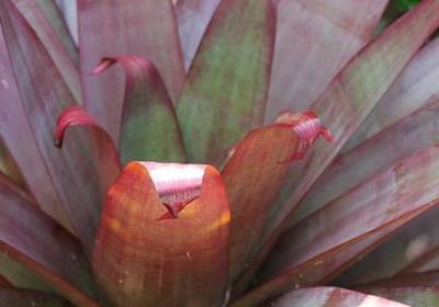 毒组词有哪些词语(推荐16句)