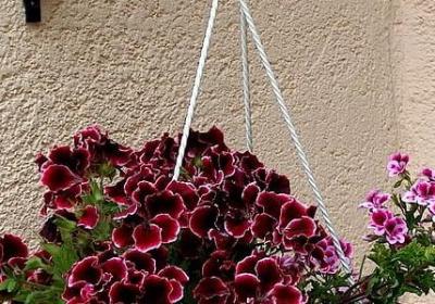 晦组词有哪些词语(实用60句)