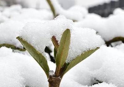 有爱字的词语(通用60句)