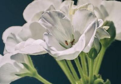 爱岗敬业词语(精选70句)