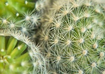 瑕能组什么词语(精选41句)