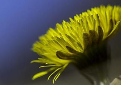 滚滚的什么词语(汇总70句)