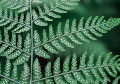 照怎么组词语(通用70句)