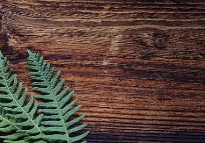 玩卧底游戏的词语(合集40句)