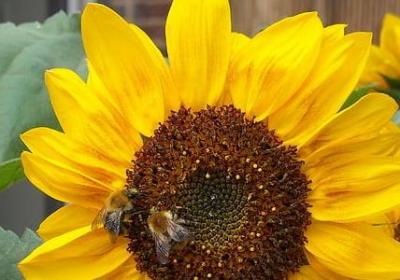 溅的四字词语(推荐80句)