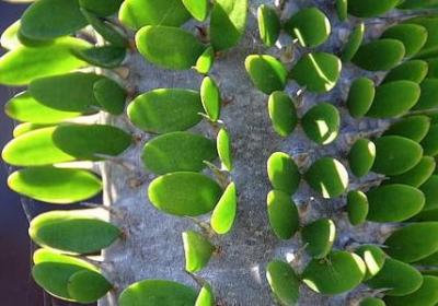 汉语词语结果(精选40句)