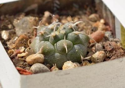 火开头的词语(实用40句)