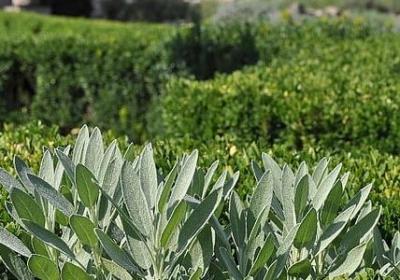 火红火红类似词语有(合集10句)