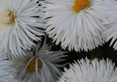 激励员工词语(汇总40句)