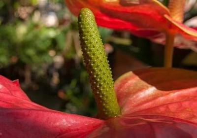 照样子 写词语阴沉沉(优选40句)