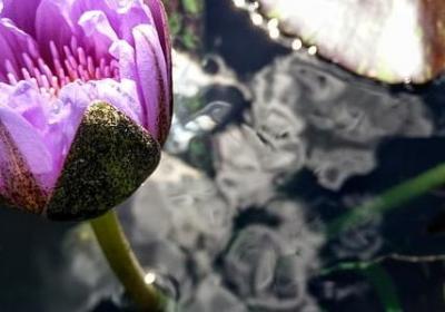 秋天的颜色有哪些词语(共81句)