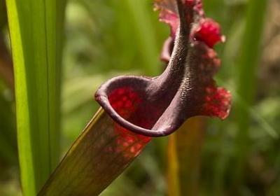 神色态度不自然的词语(40句)