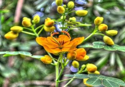 矿能组什么词语(优选12句) 矿能组什么词语(优选12句)