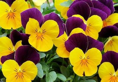 神开头的词语(必备70句)