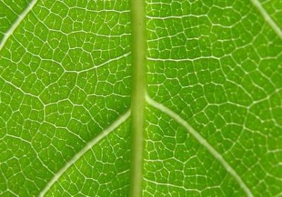 着组词有哪些词语(必备40句) 着组词有哪些词语(必备40句)