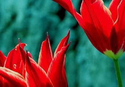 相互鼓励的词语(通用80句) 相互鼓励的词语(通用80句)