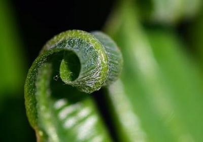 离组什么词语(必备60句) 离组什么词语(必备60句)