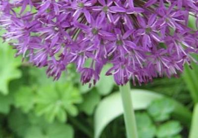 编可以组什么词语(汇总10句)