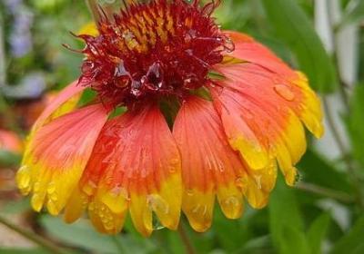 简单的两字词语大全(优选69句)