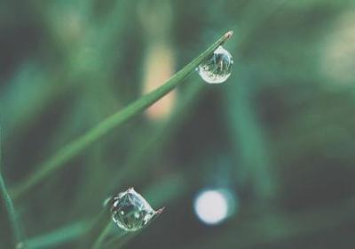 绍能组什么词语(必备18句)