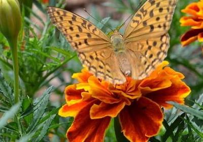 类似夜以继日的词语(精选45句)