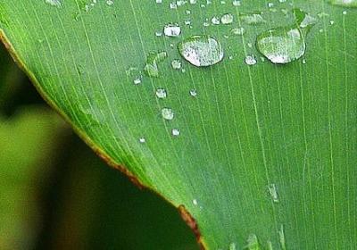 虚组词有哪些词语(合集31句) 虚组词有哪些词语(合集31句)