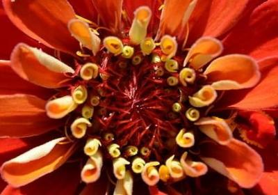 表示不好意思的词语(热门20句)